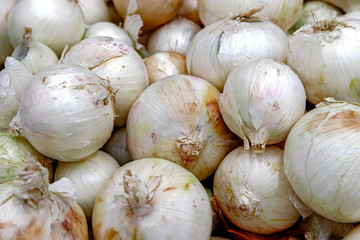 Seasonal vegetables are stacked in boxes at the grocery store.