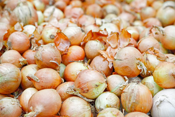 Seasonal vegetables are stacked in boxes at the grocery store.