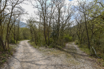 Obraz premium Majella by Morning at Spring