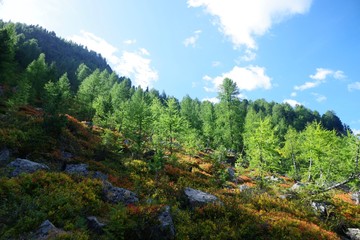 Herbst