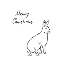 Polar arctic white rabbit. Black outline on white background. Picture can be used in greeting cards, posters, flyers, banners, logo, further design etc. Vector illustration. EPS10