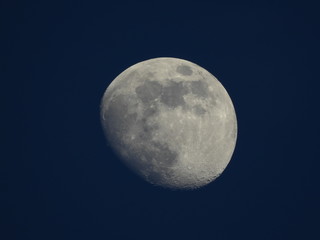 Obraz na płótnie Canvas lune