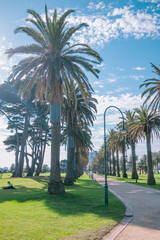 Palm Tree Lined Pathway in St Kilda, Melbourne, Australia