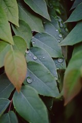 Processed with VSCO with 10 preset