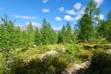 Herbst in den. Bergen