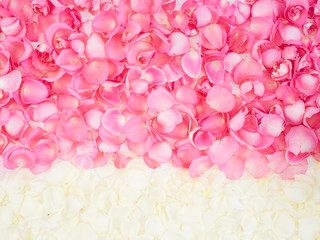 Flower frame made of rose petals