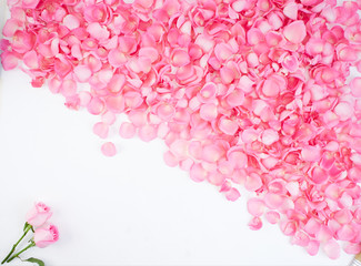 Fototapeta na wymiar Frame made of pink rose petals