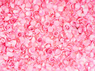 Obraz premium Frame made of pink rose petals