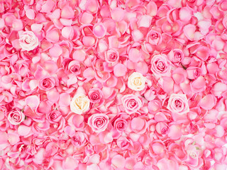Frame made of pink rose petals