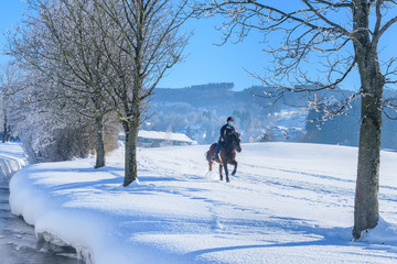 Reiten in winterlicher Natur