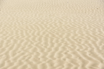 Fototapeta na wymiar Gold desert into the sunset. Sand texture.