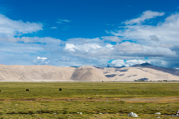 Ladakh, India - Jul 14 2019 - Beautiful scenic view from Between Chushul and Pangong Tso in Ladakh, Jammu and Kashmir, India.