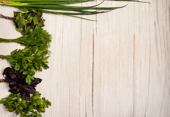 Fresh spicy kitchen herbs in bunches. The border is made of Basil, dill, parsley, cilantro and green onions on a light wooden background.