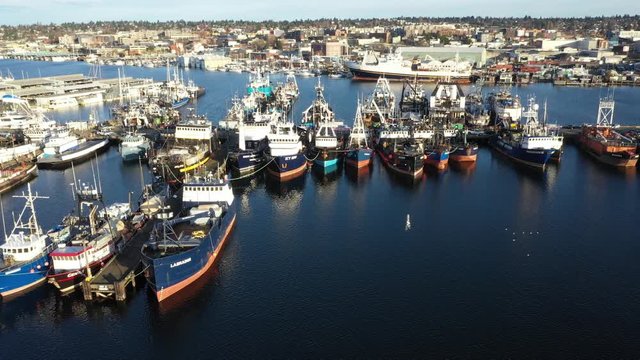 Drone footage of Fishermen's Terminal at Salmon Bay near Ballard and Seattle, Washington. Puget Sound with fishing boats ships and yachts in the background