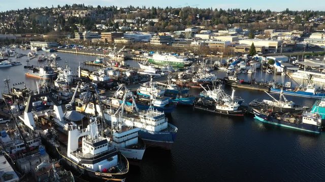 Drone footage of Fishermen's Terminal at Salmon Bay near Ballard, Puget Sound with fishing boats ships and yachts in the background
