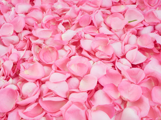 Obraz premium Frame made of pink rose petals