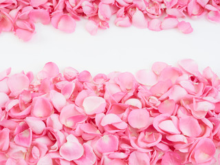 Frame made of pink rose petals