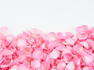 Obraz premium Frame made of pink rose petals
