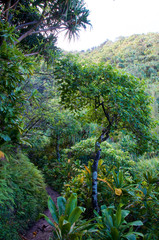 Hawaii - Na Pali Coast