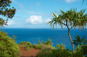 Fototapeta na wymiar Hawaii - Na Pali Coast