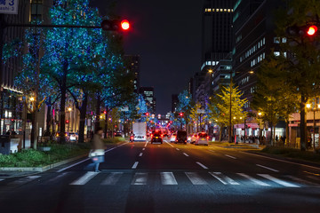 Fototapeta na wymiar 大阪の夜景・御堂筋のイルミネーション