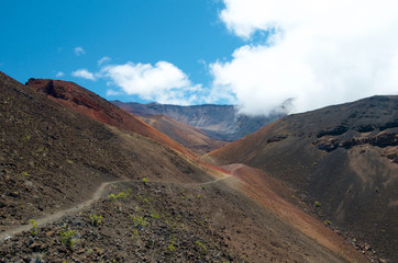 Maui