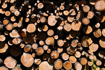 pile of wood close up