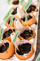 Organic seed starter pots