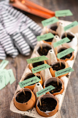 Organic seed starter pots