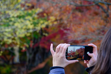 Naklejka premium Tourists who do not see faces taking pictures