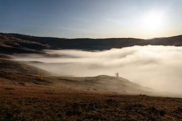 mountains fog sun sunrise trees autumn