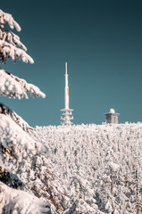 Frozen winter trees in the mountains with white snow on a bright sunny day in a winterwonderland. Brocken, Harz National Park Mountains in Germany