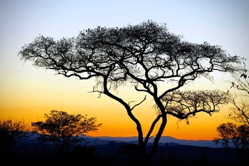 Fototapeta na wymiar african sunset