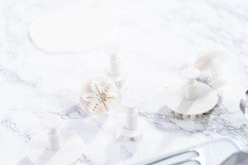 Fondant snowflake shapes