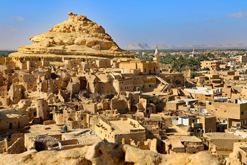 Fototapeta premium Egypt - Siwa Oasis
