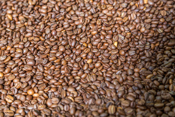 Grains de café en gros plan