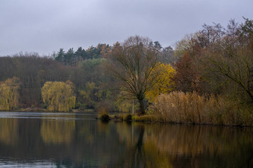 Schöner Baum am Teich in wunderbarer Herbstkulisse