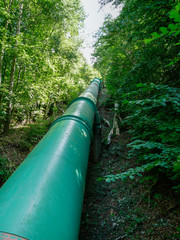 Thick pipeline lying on the ground in the the wood.