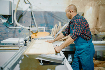 Fototapeta na wymiar Carpenter cuts wooden board on circular saw