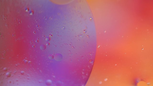 Macro oil drop in water. Yellow, red, orange, violet bubbles background. Holographic liquid