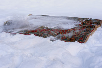 Cleaning home carpet in the snow