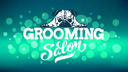 Logo for dog hair salon, dog styling and grooming shop, store for pets. Vector illustration isolated on white background. EPS 10