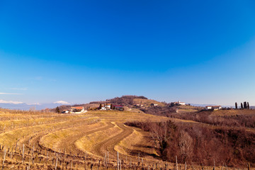 Fototapeta na wymiar Winter morning in the vineyards of Collio, Italy