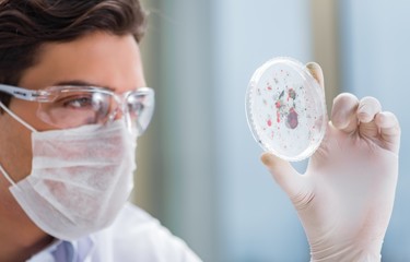 Male doctor working in the lab on virus vaccine