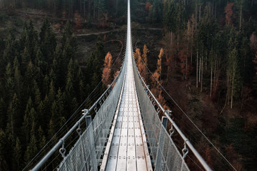 Obraz premium Suspension Bridge