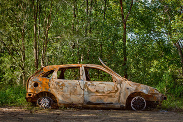 Burned and abandoned vehicle stationary in the forest, among the trees