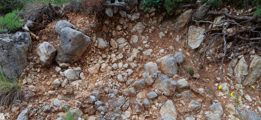 Obraz premium rocky mountainside, with plants, Montenegro