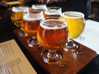 ビールの飲み比べ