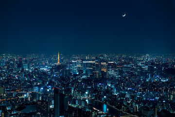 三日月と東京と東京タワーの夜景