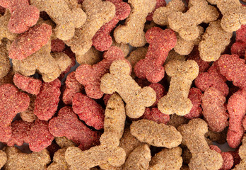 Fototapeta premium Dry dog food